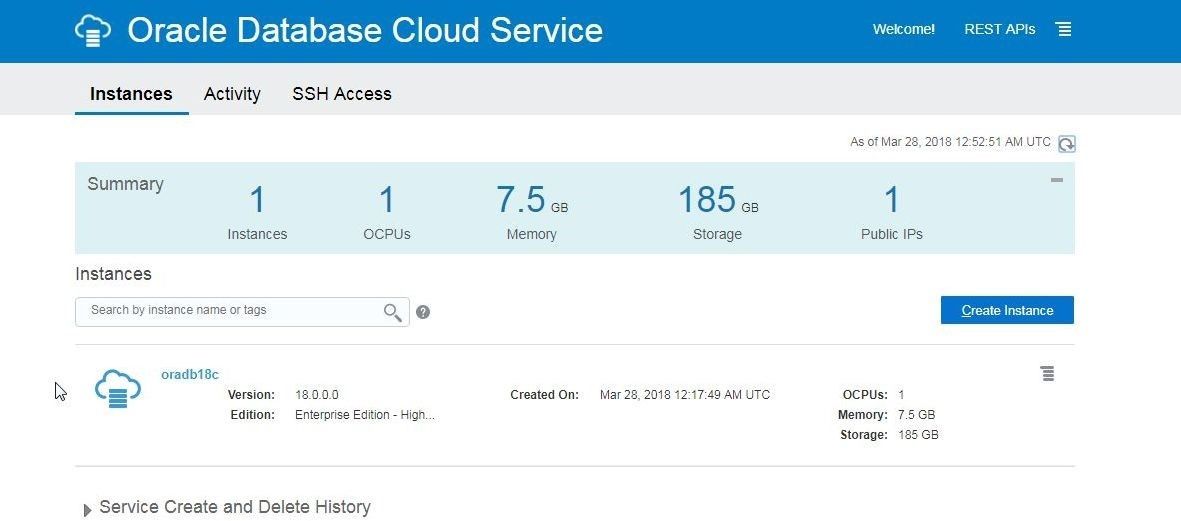 When the instance gets created the Status Creating Instance… is removed and the Submitted On timestamp is replaced with the Created On timestamp.