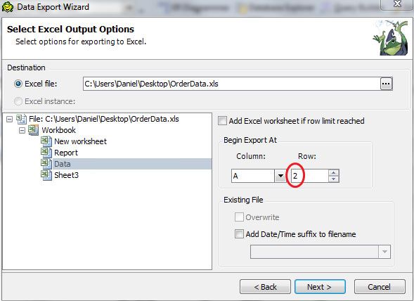Selecting Excel Output Options