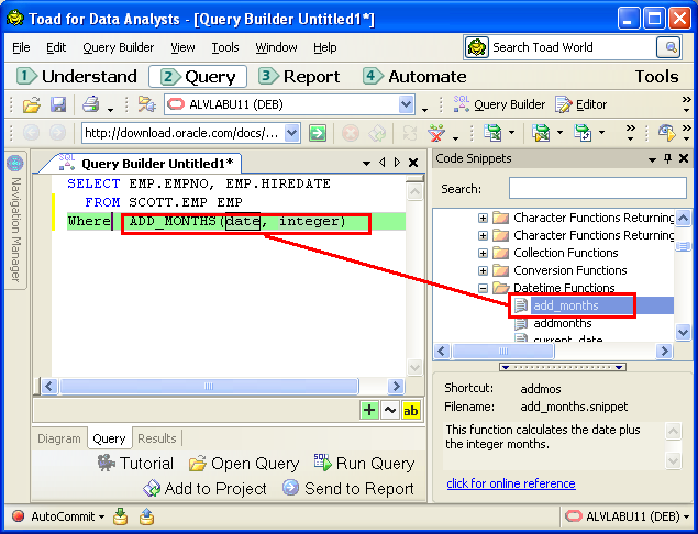 Using the Query tab of the Query Builder