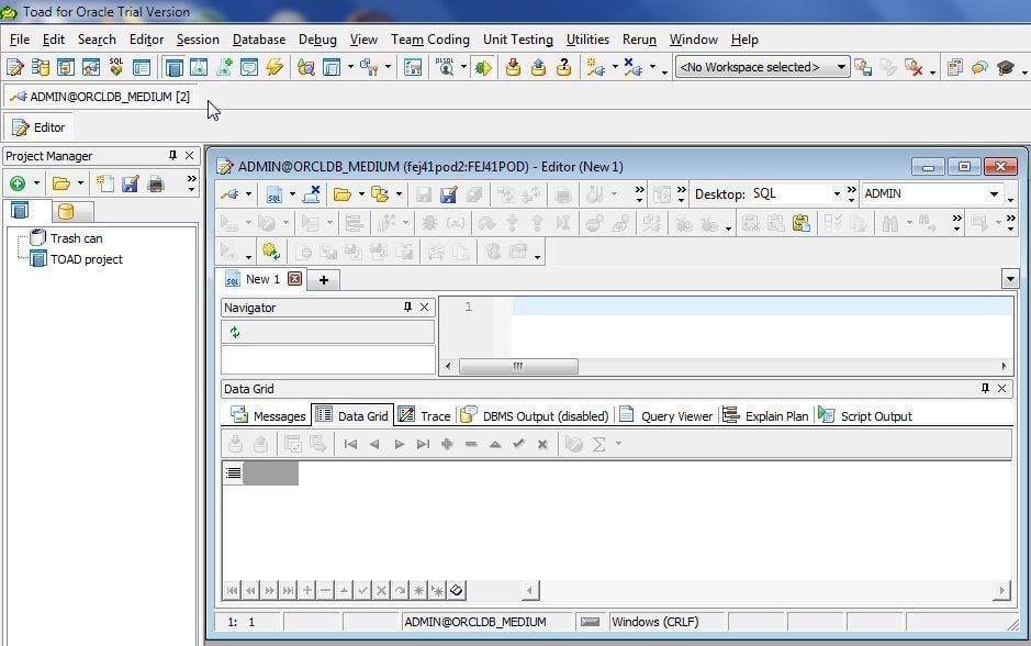 Figure 19. New Connection to Oracle Autonomous Database .