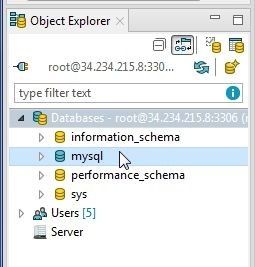Figure 30. Connections and Object Explorer