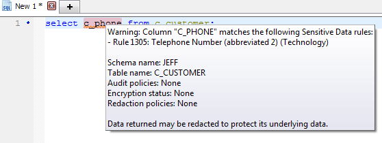 Figure 4. Hover over the identified sensitive data to see notification details