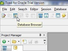 Figure 22. Database Browser in the toolbar.