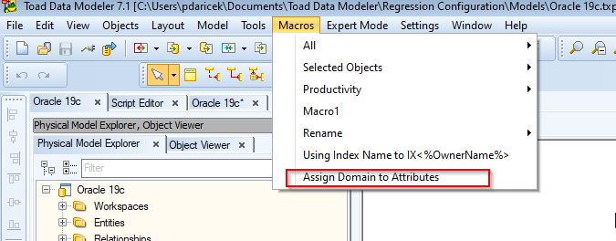 Screen shot showing Toad Data Modeler, Macros Tab, Assign Domain to Attributes.