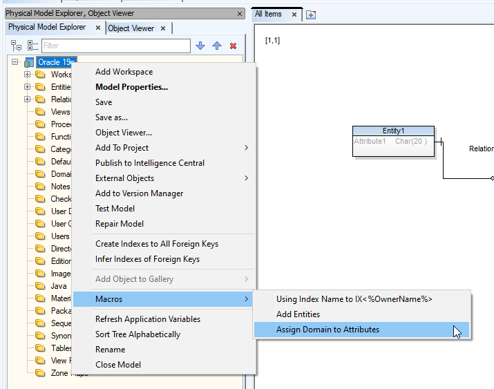 Screen shot showing Physical Model Explorer, Object Viewer node, Macros, Assign Domain to Attributes.