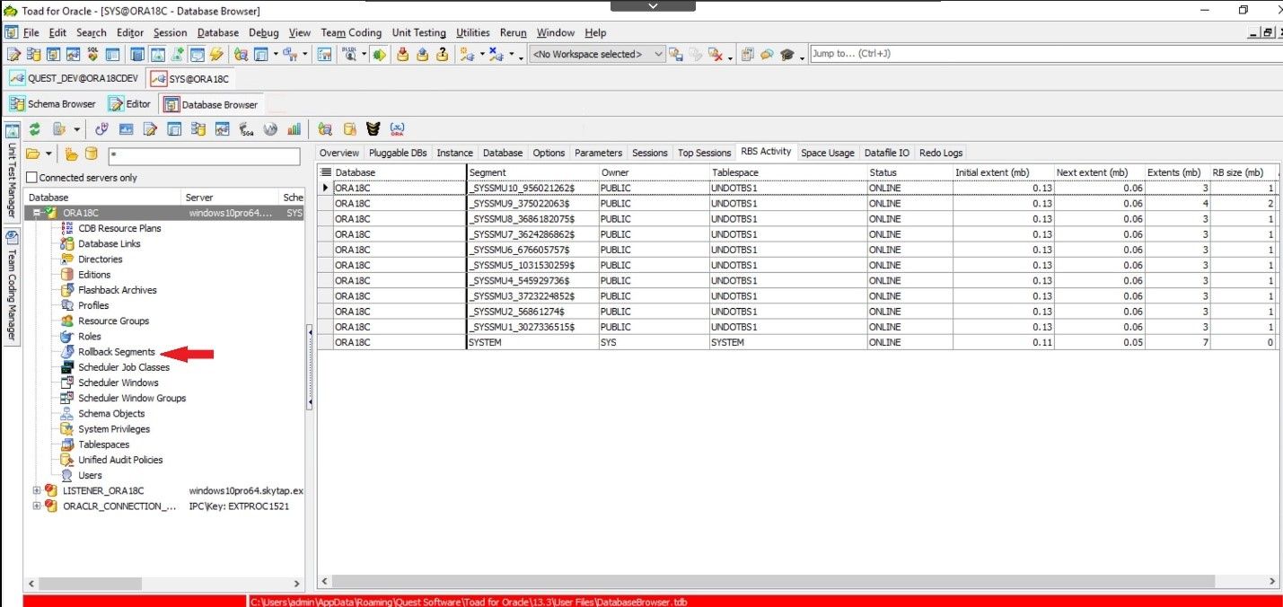 Toad for Oracle. Database Browser. RBS Activity tab displays an overview of rollback segment activity.