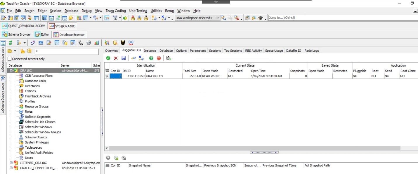 Toad for Oracle. Database Browser showing that by clicking on the Pluggable DBs tab you will see any pluggable databases.