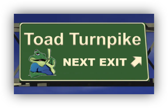 ToadTurnpikeExit_CorrectAspectRatio