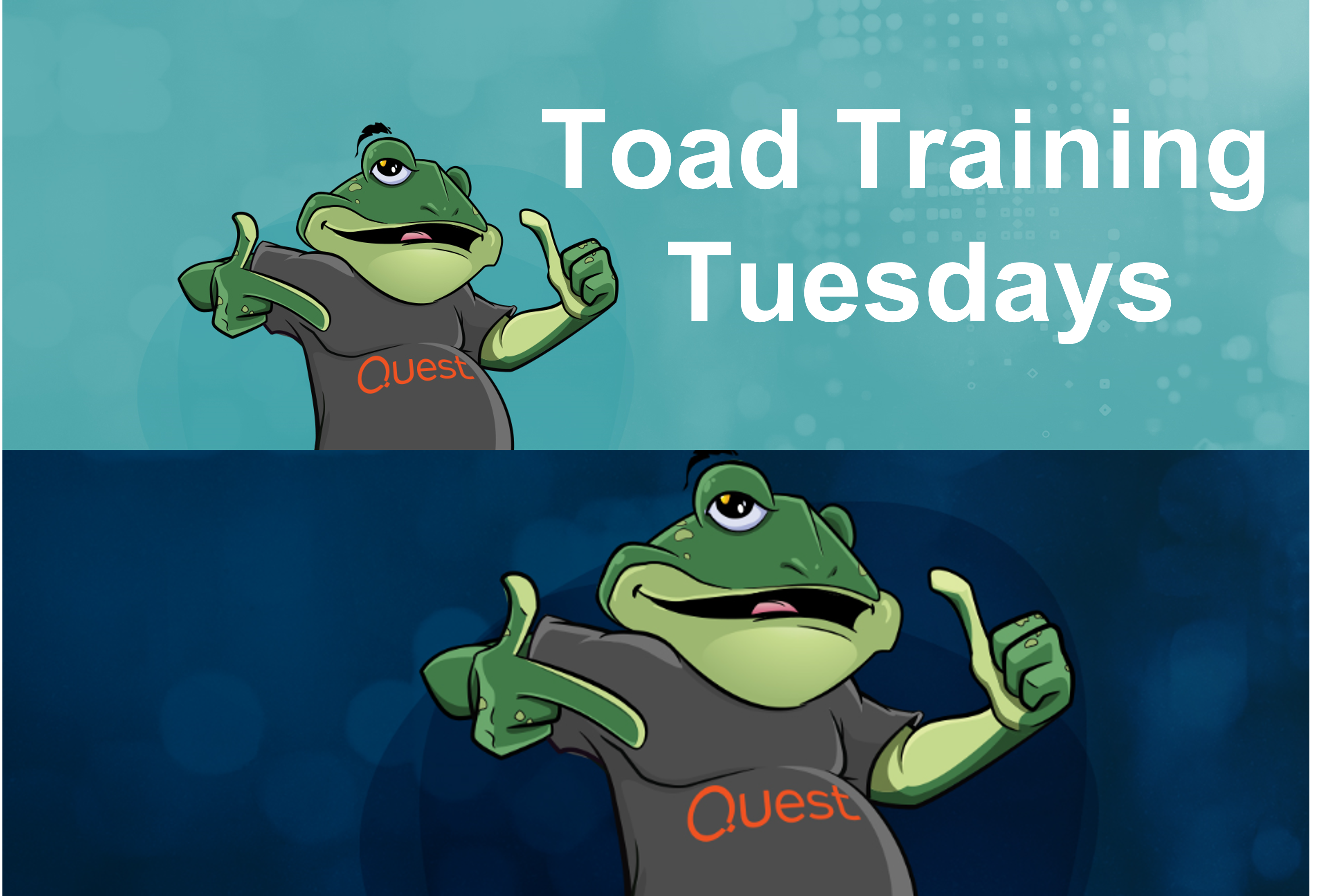 Toad_Training_Tuesdays-1