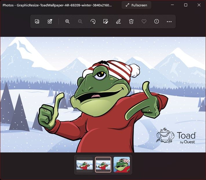 Free gift, winter toad wallpaper image 1.