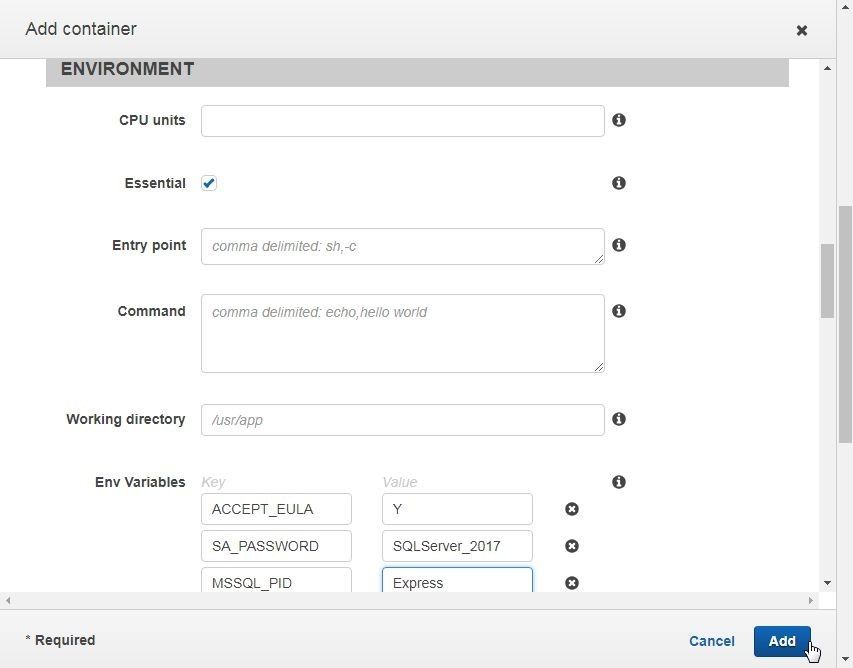 Figure 9, selecting the Essential box in the Setting Environment section of the Add Container window