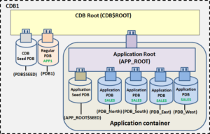 Oracle Multi-tenant Application Containers – Part I