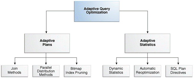 Featured Image - introduction-to-oracle-sql-plan-directives-in-oracle-database-12-2