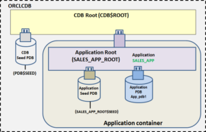 Oracle Multitenant Application Containers – Part IX (Move application container across CDBs)