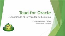Toad for Oracle: Conociendo el Navegador de Esquema