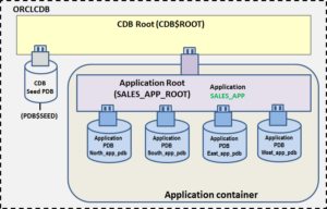 Oracle Multi-tenant Application Containers Part-V Cross Container DML