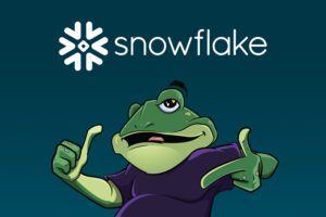 Introducing a Snowflake connection in Toad Data Point & more
