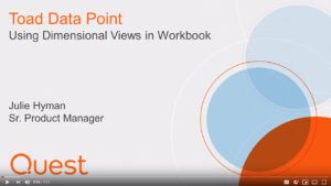 Learn how to use Dimensional Views in Toad Data Point Workbook