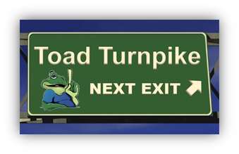 Toad Turnpike: Real stories from the road.