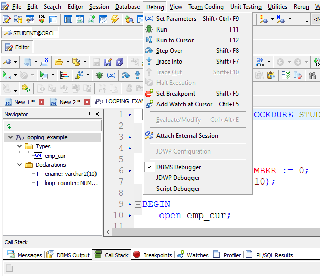 Toad for Oracle PL/SQL debugger options.